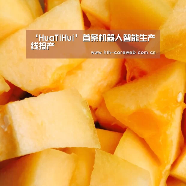 ‘HuaTiHui’首条机器人智能生产线投产