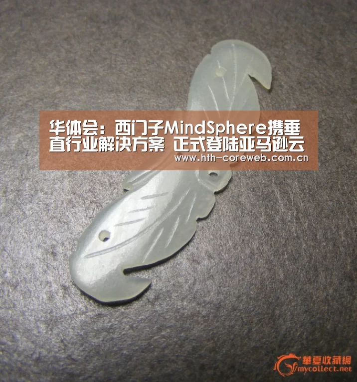 华体会